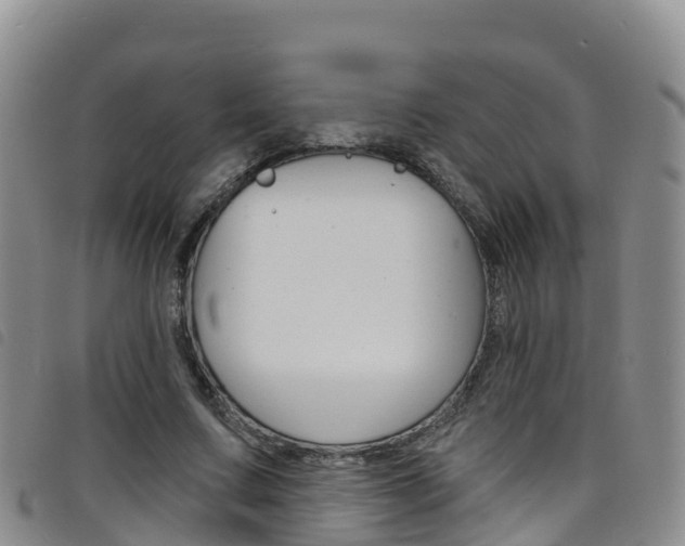 X0000098210683200804241102
