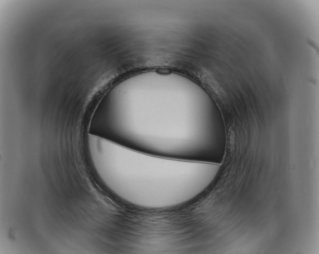X0000098210684200804241102
