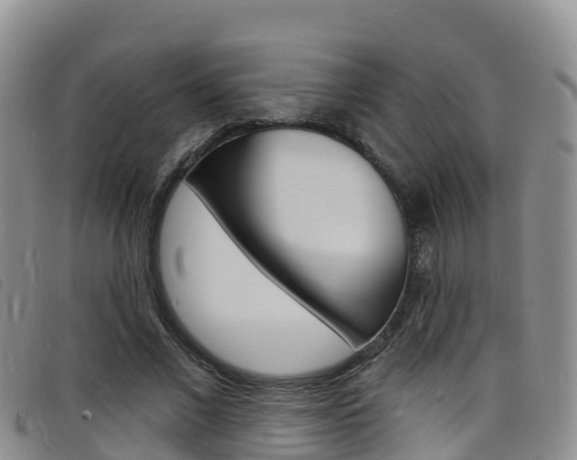 X0000098210685200804241102