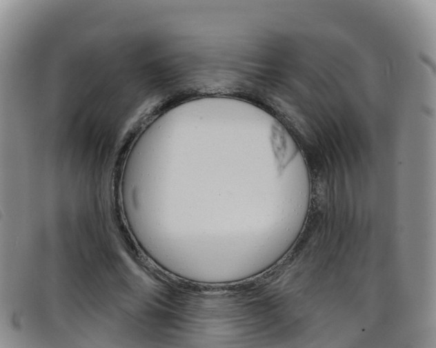 X0000098210686200804241102