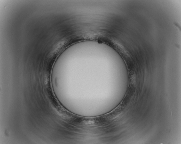 X0000098210687200804241102