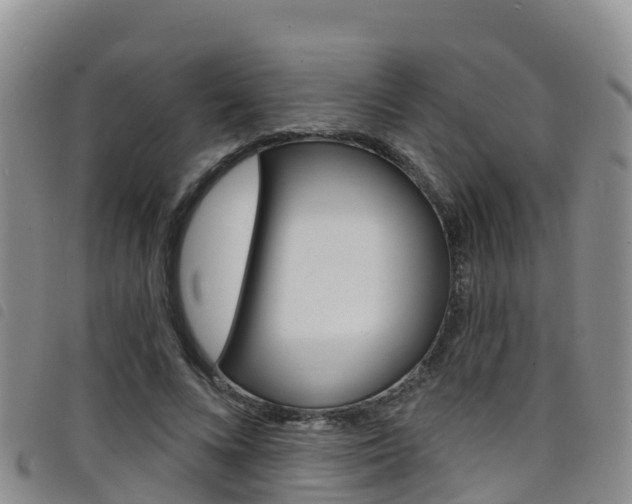 X0000098210688200804241102