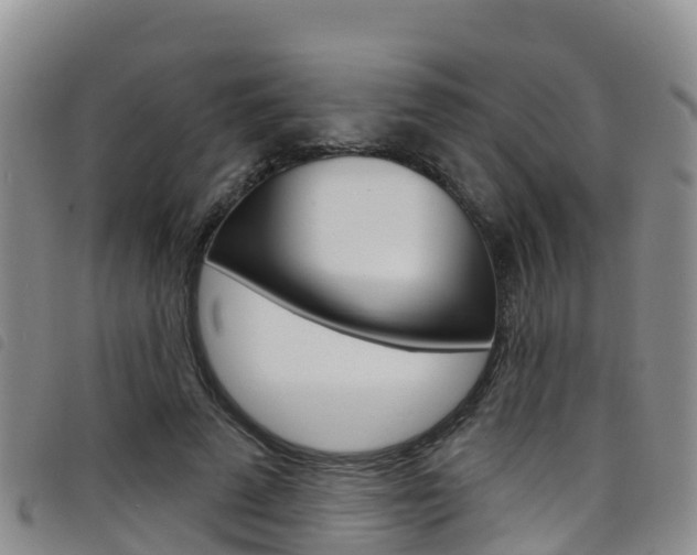 X0000098210689200804241102