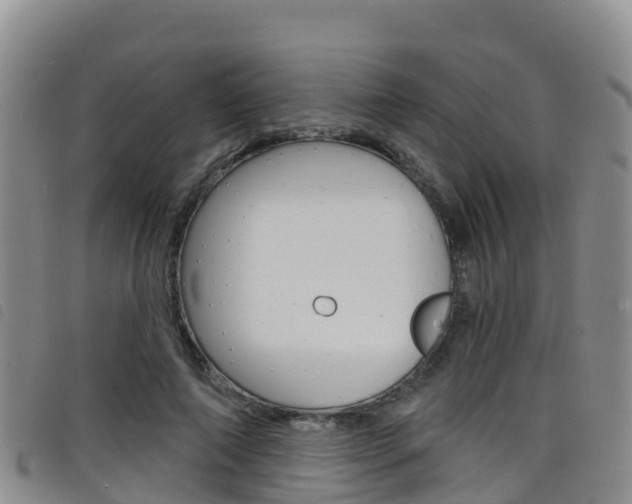 X0000098210690200804241102
