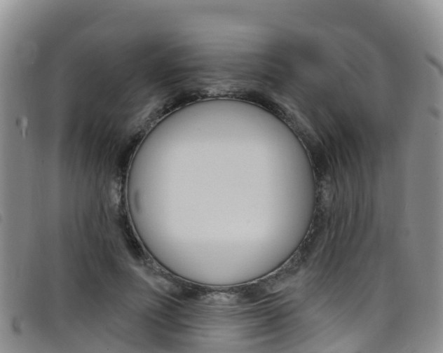 X0000098210691200804241102