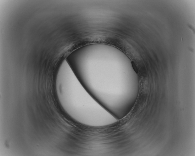X0000098210692200804241102