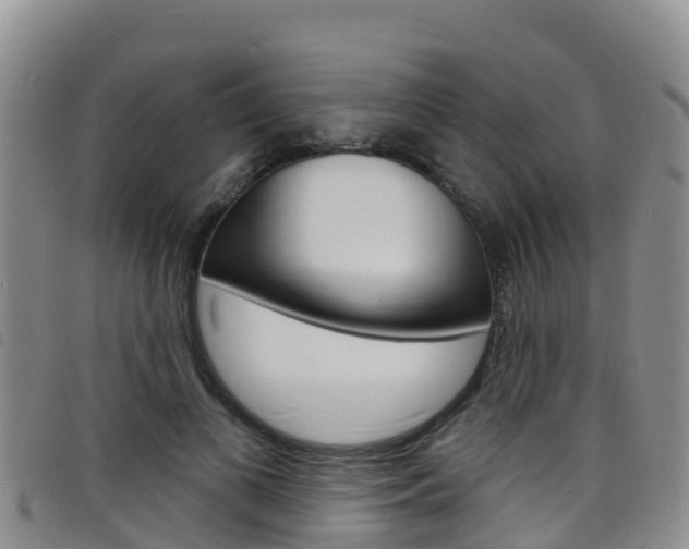X0000098210693200804241102