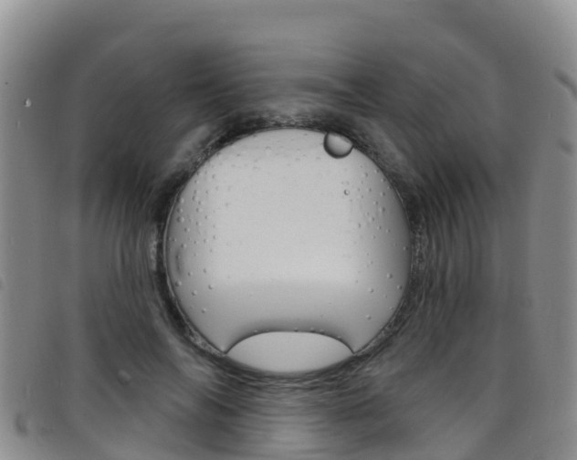 X0000098210694200804241102