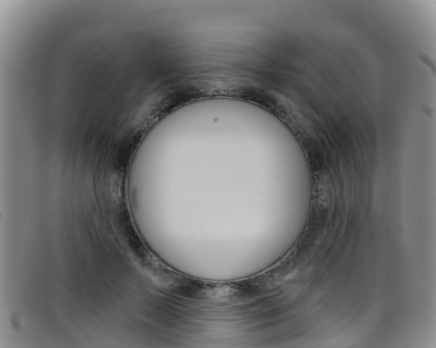 X0000098210695200804241102