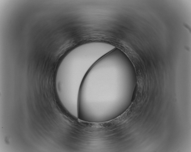 X0000098210696200804241102