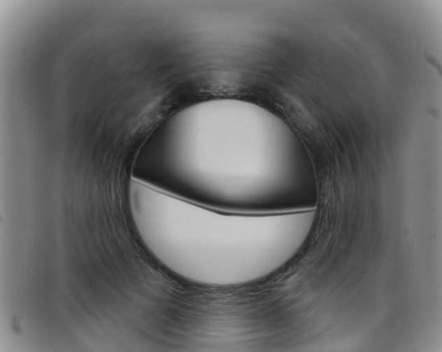 X0000098210697200804241102