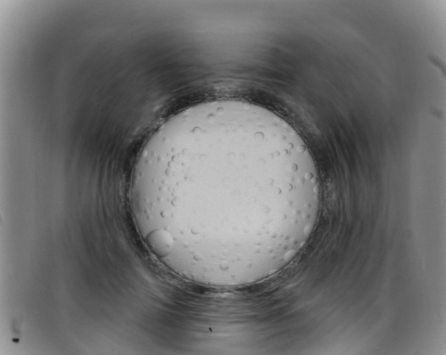 X0000098210698200804241102