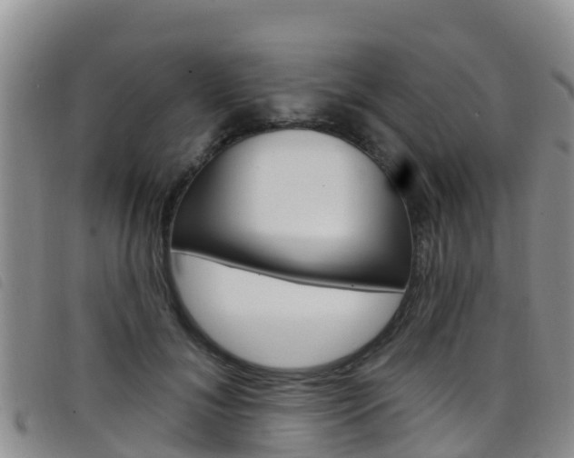X0000098210700200804241102