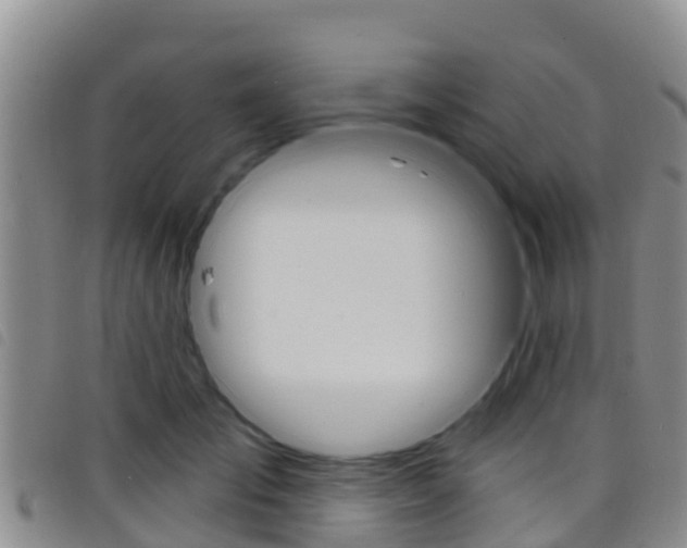 X0000098210701200804241102