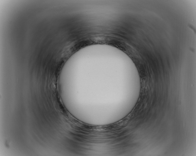 X0000098210702200804241102