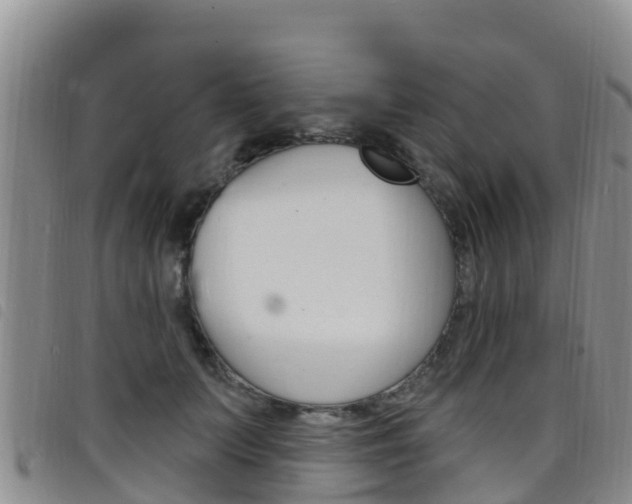 X0000098210703200804241102