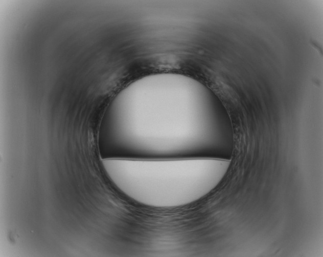 X0000098210704200804241102