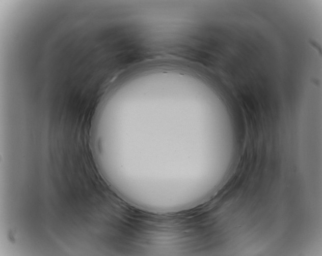 X0000098210705200804241102