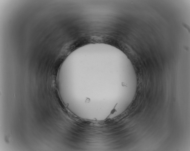 X0000098210706200804241102