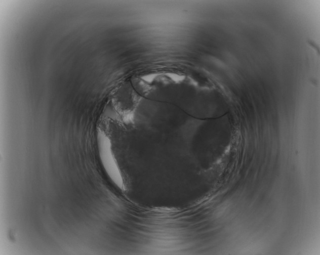 X0000098210707200804241102