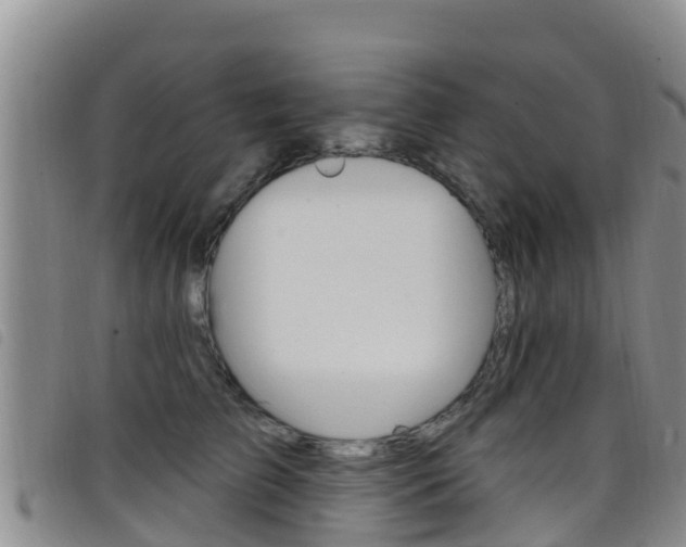X0000098210709200804241102
