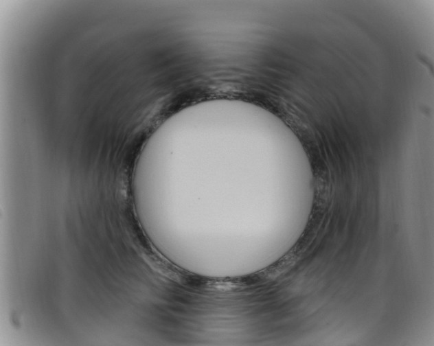 X0000098210710200804241102