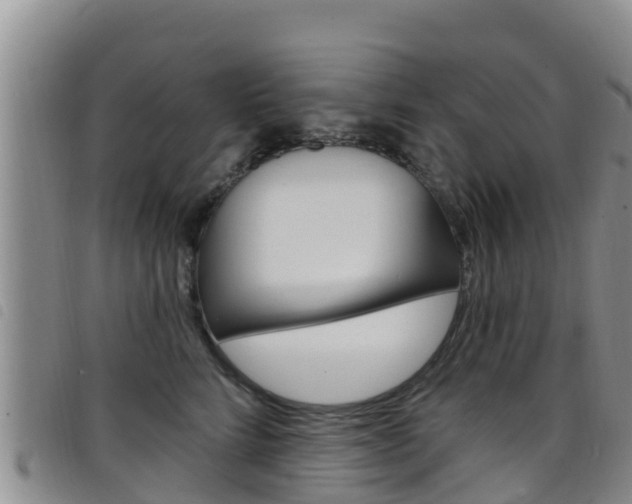 X0000098210712200804241102