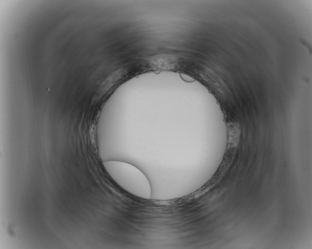 X0000098210713200804241102