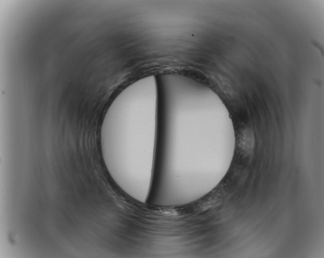 X0000098210715200804241102