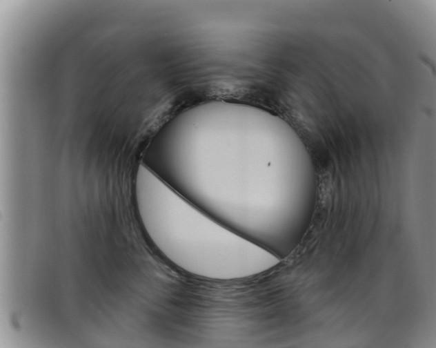 X0000098210716200804241102