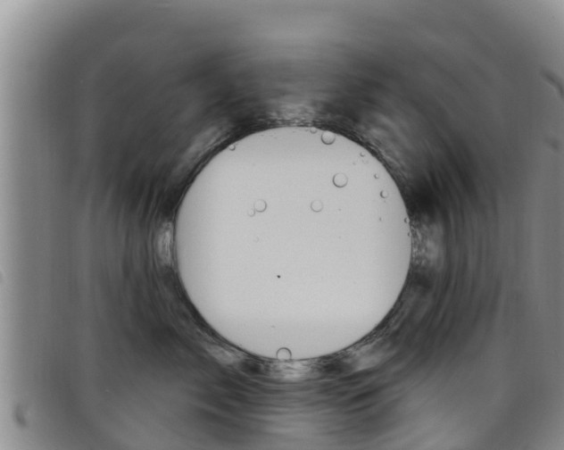 X0000098210717200804241102