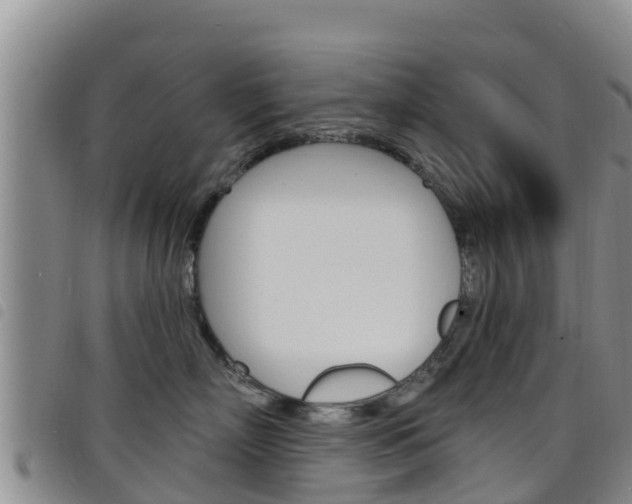 X0000098210718200804241102