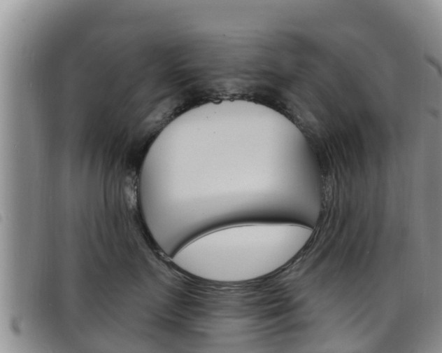 X0000098210719200804241102