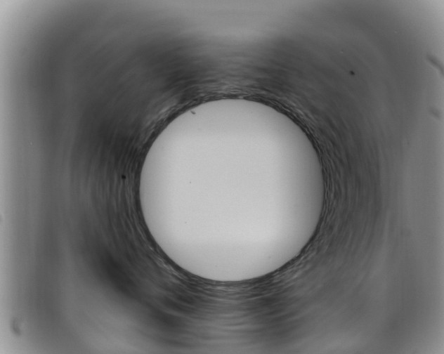 X0000098210720200804241102