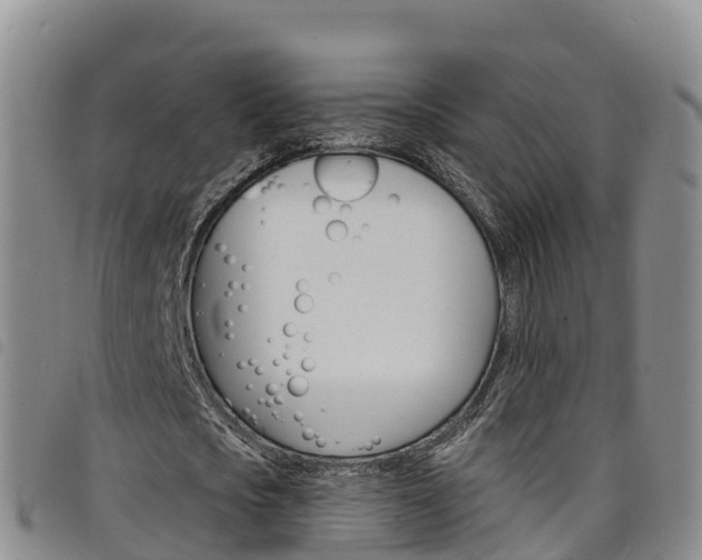 X0000098210721200804241101