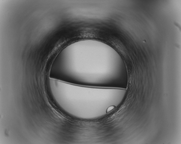 X0000098210722200804241101