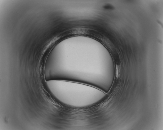 X0000098210723200804241101
