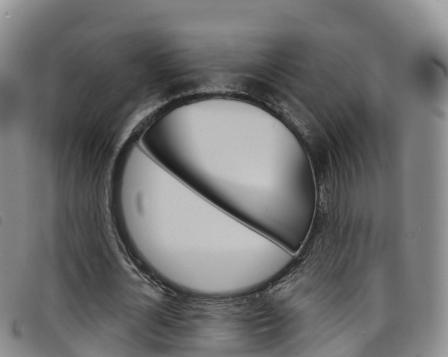 X0000098210724200804241101