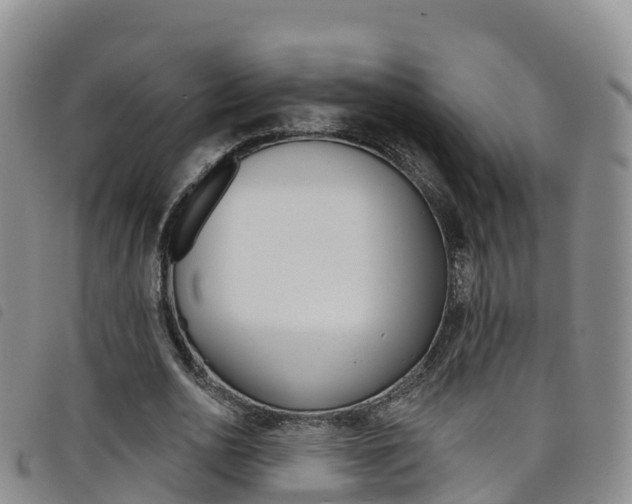 X0000098210726200804241101