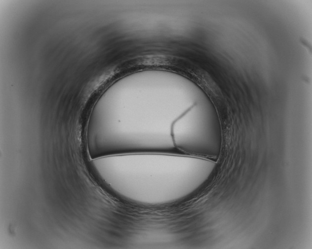 X0000098210727200804241101