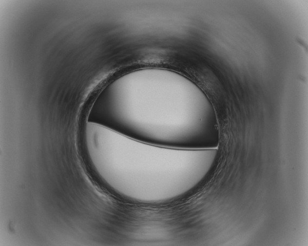 X0000098210728200804241101
