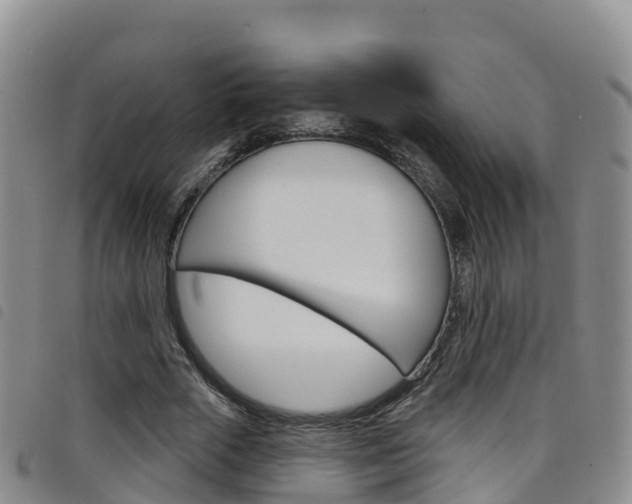 X0000098210729200804241101