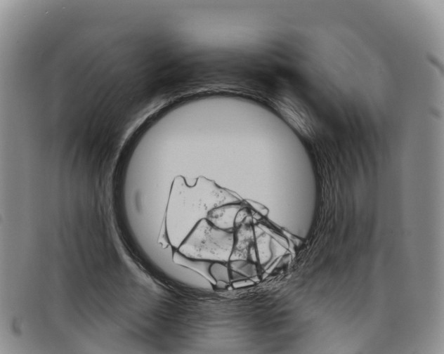 X0000098210730200804241101