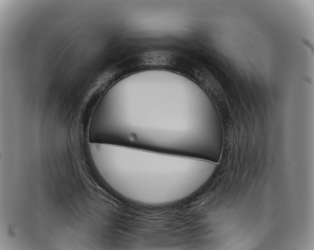 X0000098210731200804241101