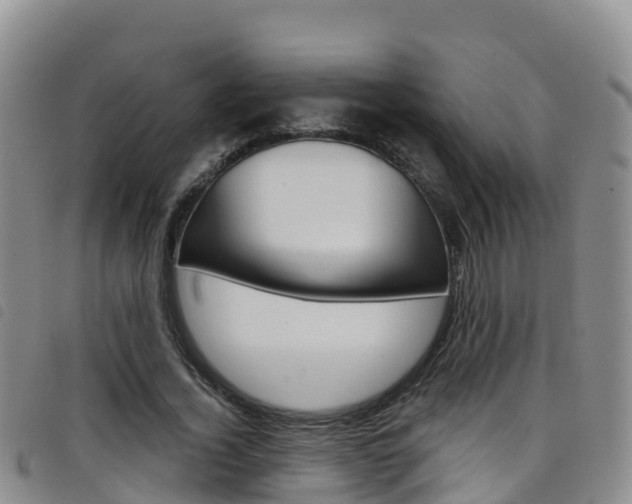 X0000098210732200804241101