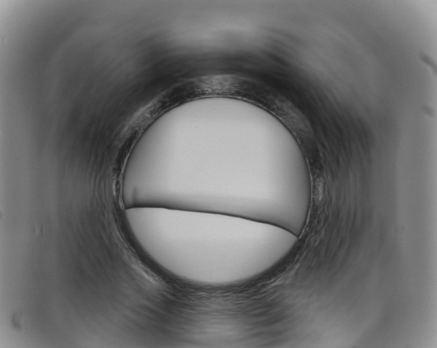 X0000098210733200804241101