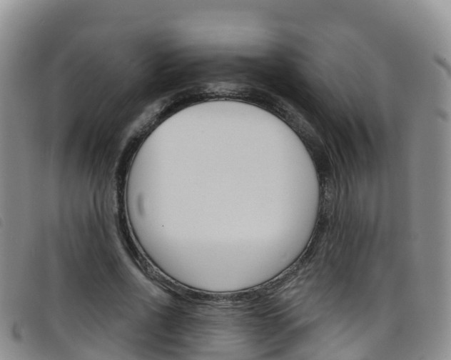 X0000098210734200804241101