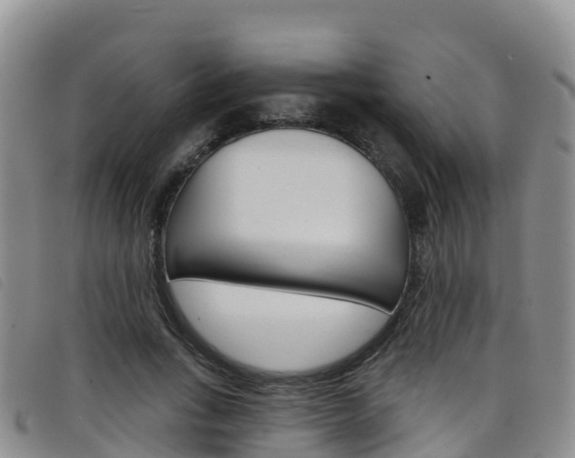 X0000098210735200804241101