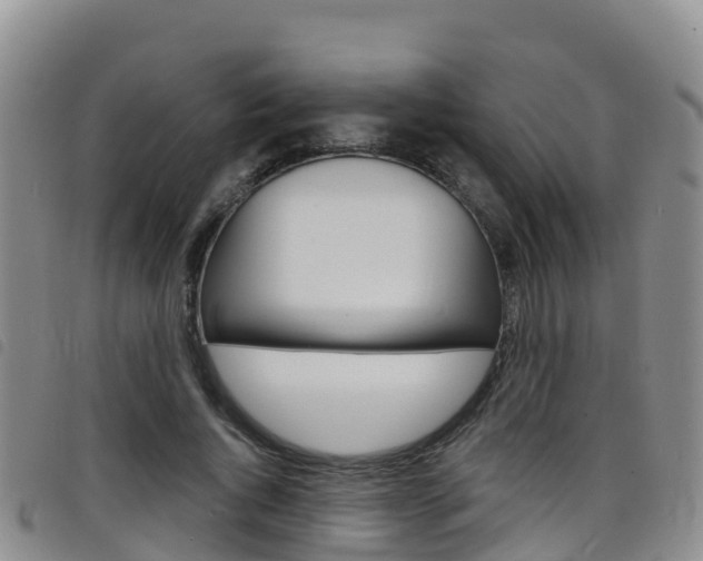 X0000098210736200804241101