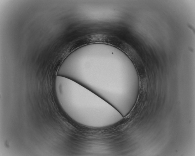 X0000098210737200804241101